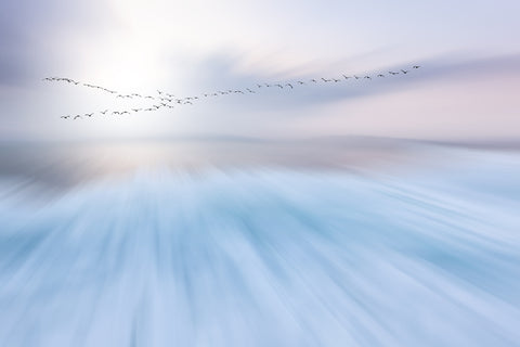 fly over - Wall Art - By Uschi Hermann- Gallery Art Company