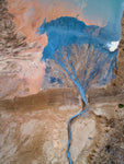 The blue tree - Wall Art - By Marc Pelissier- Gallery Art Company