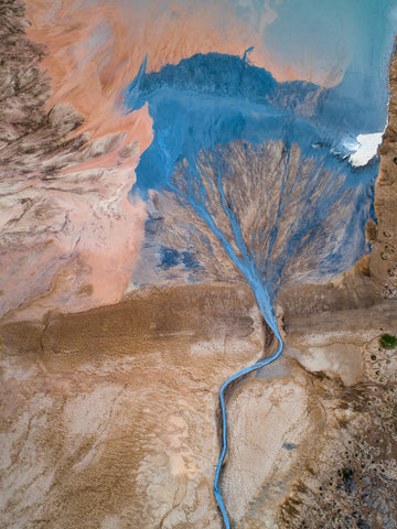 The blue tree - Wall Art - By Marc Pelissier- Gallery Art Company