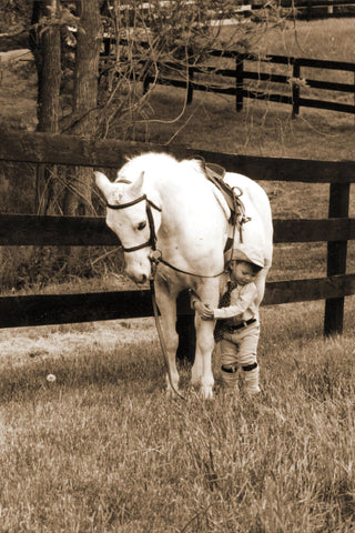 Pony Boy - Wall Art - By Jim Dratfield- Gallery Art Company