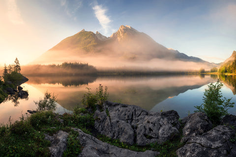 Golden Summer Morning in the Alps - Wall Art - By Daniel Gastager- Gallery Art Company