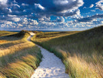 Philbin Beach Path - Wall Art - By Katherine Gendreau- Gallery Art Company