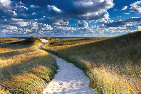 Philbin Beach Path - Wall Art - By Katherine Gendreau- Gallery Art Company