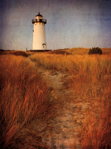 To the Harbor Light - Wall Art - By Katherine Gendreau- Gallery Art Company