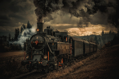 Gold digger train - Wall Art - By Hubert Bichler- Gallery Art Company