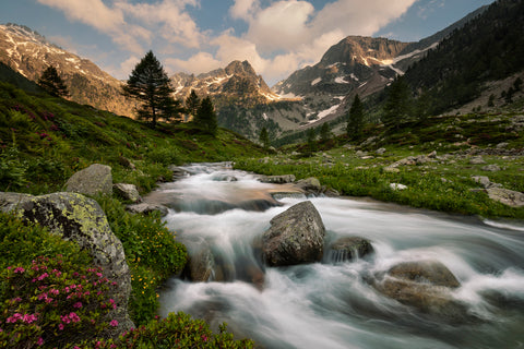 Maritime Alps Park - Wall Art - By Paolo Bolla- Gallery Art Company