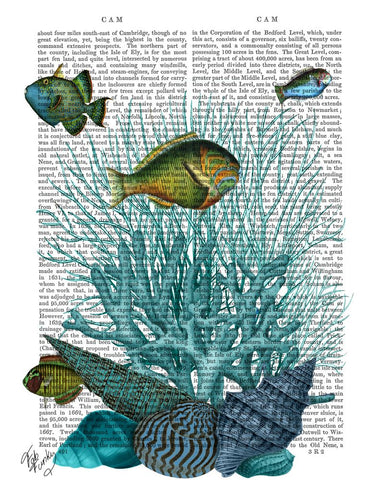 Fish Blue Shells and Corals - Wall Art - By Fab Funky- Gallery Art Company
