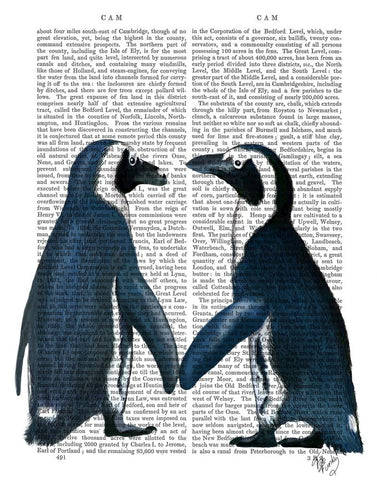 Penguins in Love - Wall Art - By Fab Funky- Gallery Art Company