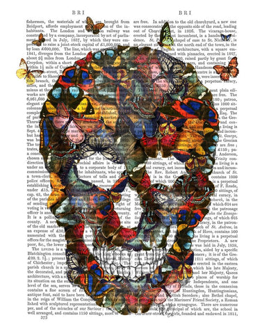 Butterfly Skull - Wall Art - By Fab Funky- Gallery Art Company