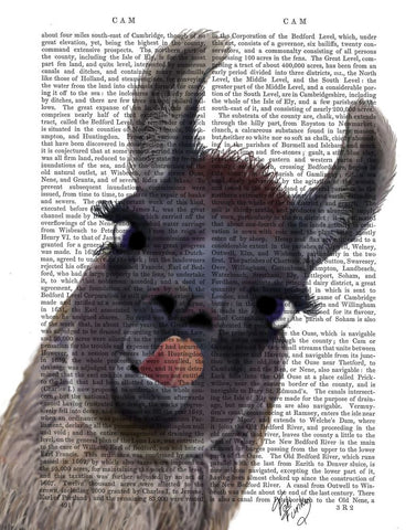 Silly Llama - Wall Art - By Fab Funky- Gallery Art Company