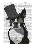 Boston Terrier Formal Hound and Hat - Wall Art - By Fab Funky- Gallery Art Company