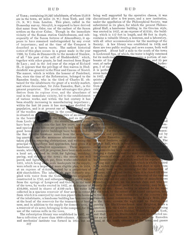 Beagle Formal Hound and Hat - Wall Art - By Fab Funky- Gallery Art Company