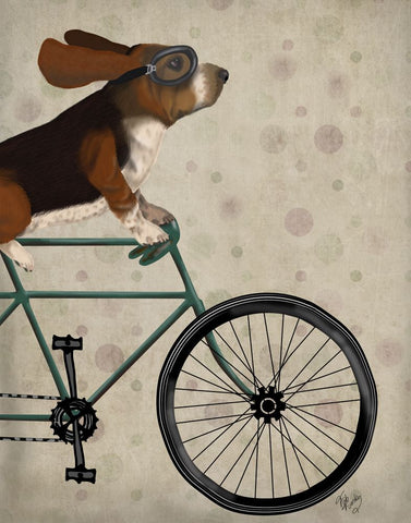 Basset Hound on Bicycle - Wall Art - By Fab Funky- Gallery Art Company