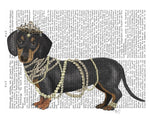 Dachshund and Pearls - Wall Art - By Fab Funky- Gallery Art Company