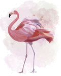 Fluffy Flamingo 1 - Wall Art - By Fab Funky- Gallery Art Company