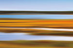 Autumn Marsh - Wall Art - By Katherine Gendreau- Gallery Art Company