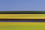 Midday Marsh - Wall Art - By Katherine Gendreau- Gallery Art Company