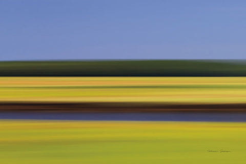 Midday Marsh - Wall Art - By Katherine Gendreau- Gallery Art Company