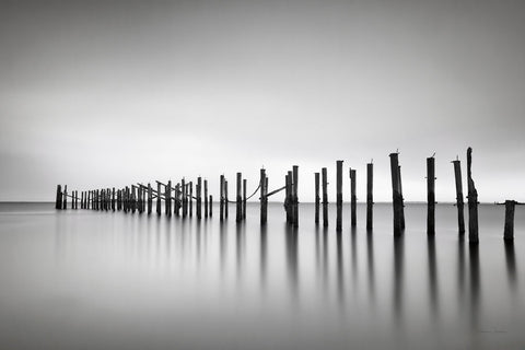 Still BW - Wall Art - By Katherine Gendreau- Gallery Art Company