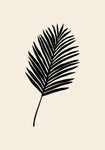 Black Palm - Wall Art - By 1x Studio- Gallery Art Company