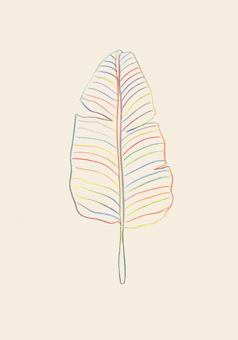 Banana Rainbow Leaf - Wall Art - By 1x Studio- Gallery Art Company