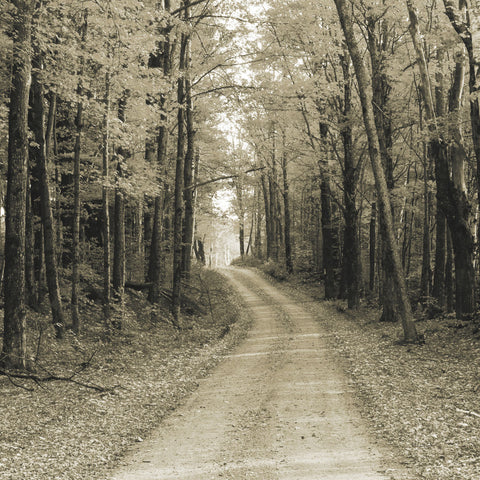 Vermont Country Road Sepia Crop - Wall Art - By Alan Majchrowicz- Gallery Art Company