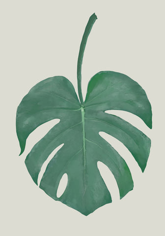 Monstera Aqua 05 - Wall Art - By 1x Studio II- Gallery Art Company