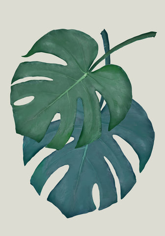 Monstera Aqua 06 - Wall Art - By 1x Studio II- Gallery Art Company