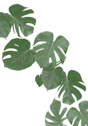 Monstera Aqua 02 - Wall Art - By 1x Studio II- Gallery Art Company