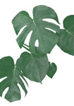 Monstera Aqua 01 - Wall Art - By 1x Studio II- Gallery Art Company