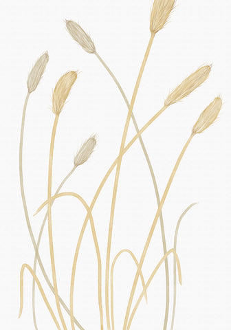 Bunny Grass 01 - Wall Art - By 1x Studio II- Gallery Art Company