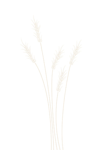 Wheat Grass - Wall Art - By 1x Studio II- Gallery Art Company