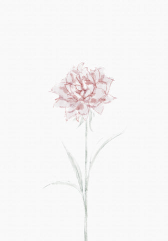 Peony 02 - Wall Art - By 1x Studio II- Gallery Art Company