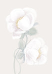 Lush Peony - Wall Art - By 1x Studio II- Gallery Art Company