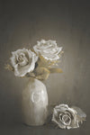 Softened - Wall Art - By Cicek Kiral- Gallery Art Company