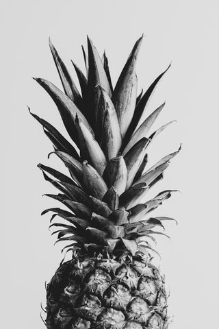 Pineapple Black a White 02 - Wall Art - Wall Art - By 1x Studio III- Gallery Art Company