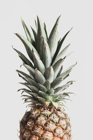 Pineapple Natural - Wall Art - By Studio III- Gallery Art Company