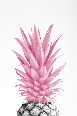 Pinapple Pink 03 - Wall Art - By Studio III- Gallery Art Company