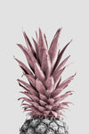 Pineapple Pink 04 - Wall Art - By Studio III- Gallery Art Company