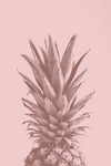 Pinapple Pink 05 - Wall Art - By Studio III- Gallery Art Company