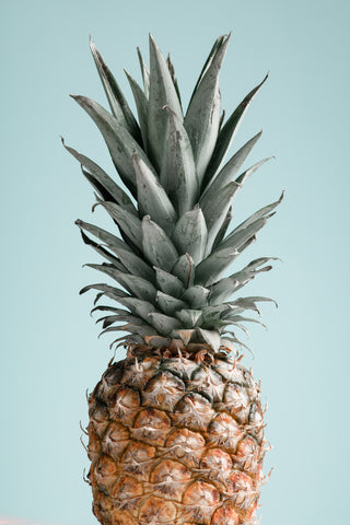 Pineapple Blue 01 - Wall Art - By Studio III- Gallery Art Company