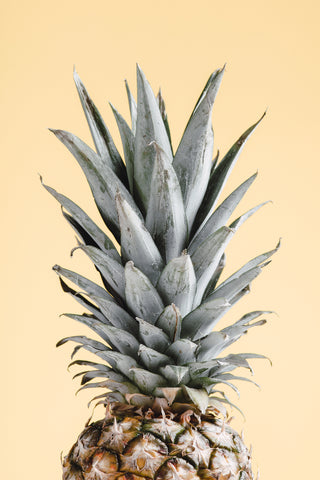 Pineapple Yellow 04 - Wall Art - By Studio III- Gallery Art Company