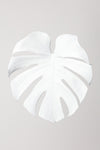 Monstera White 03 - Wall Art - By Studio III- Gallery Art Company