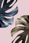 Monstera Pink Light 01 - Wall Art - By Studio III- Gallery Art Company