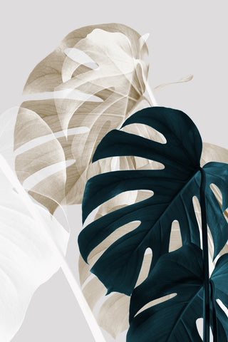 Monstera Creative 05 - Wall Art - By 1x Studio III- Gallery Art Company