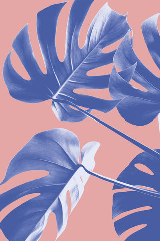 Monstera Purple 06 - Wall Art - By Studio III- Gallery Art Company