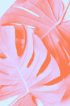 Monstera Orange 03 - Wall Art - By Studio III- Gallery Art Company