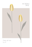 Tulips Studio Bac - Wall Art - By 1x Studio II- Gallery Art Company