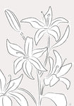 Lillies No 03 - Wall Art - By 1x Studio II- Gallery Art Company