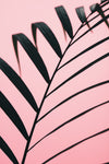 Graphic palm leaf_2 - Wall Art - By Studio III- Gallery Art Company
